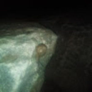 Meet your Posher, Martin